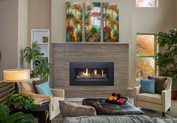 Pacific energy esprit gas fireplace with picture frame trim