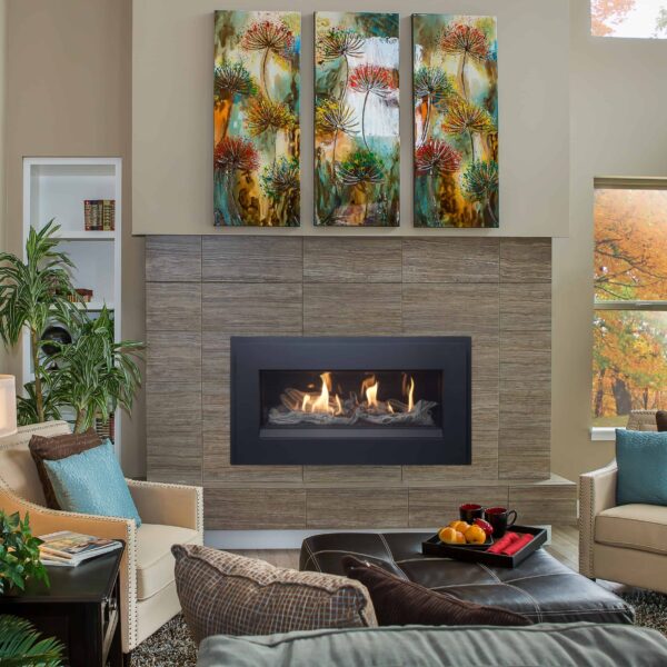 Pacific energy esprit gas fireplace with picture frame trim