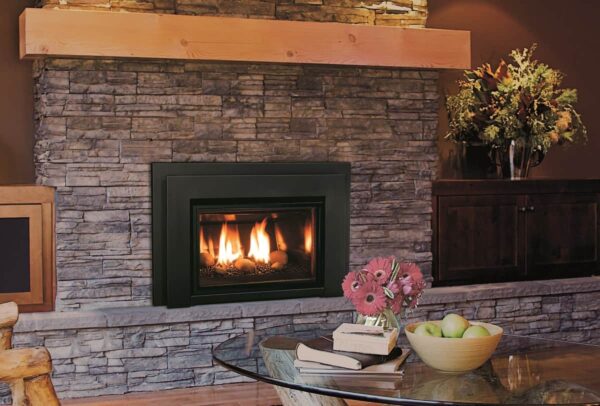 Enviro e20 gas fireplace insert | safe home fireplace in london & strathroy ontario
