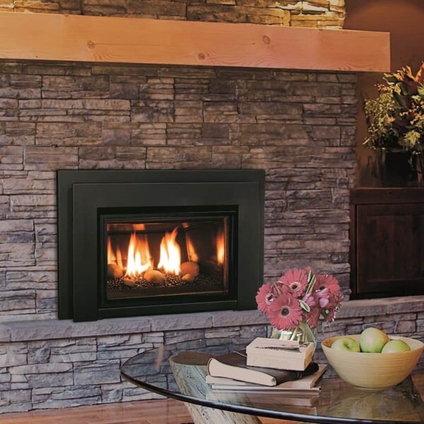 Enviro E20 Gas Fireplace Insert | Safe Home Fireplace in London & Strathroy Ontario