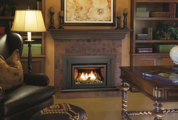 E20 fpi tray image on safe home fireplace website