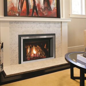 Enviro EX32 Gas Fireplace Insert | Safe Home Fireplace in Strathroy & London Ontario
