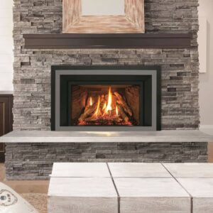 Enviro EX35 Gas Fireplace Insert | Safe Home Fireplace in Strathroy & London Ontario