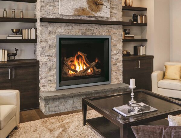 Enviro g42 gas fireplace with driftwood media