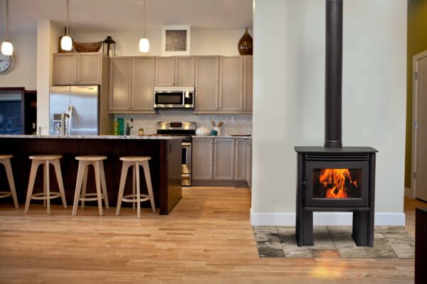 Pacific energy neo 1. 2 wood stove