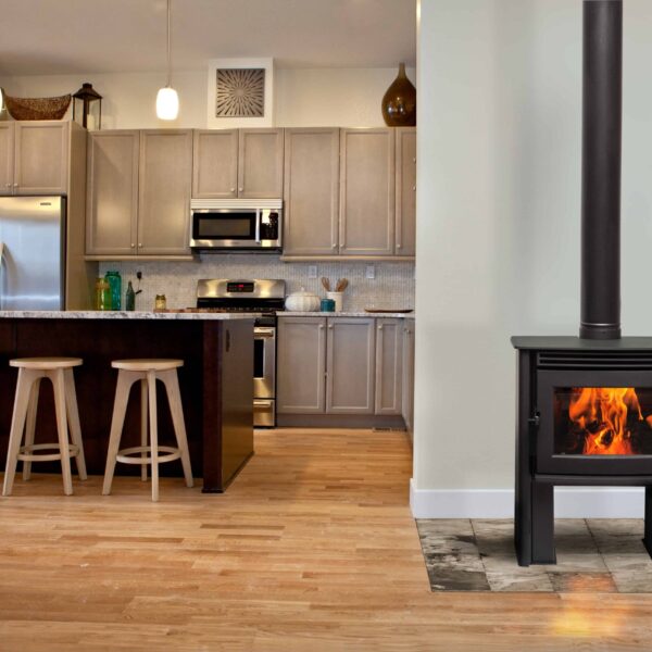 Pacific Energy Neo 1.2 wood stove