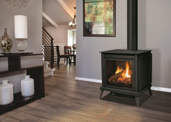 Enviro s40 freestanding gas stove | safe home fireplace in london and strathroy ontario