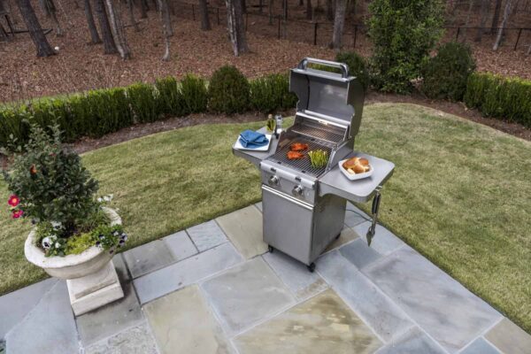 Saber elite 2-burner stainless steel gas grill