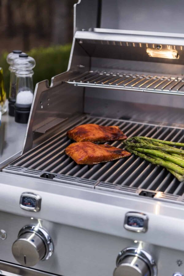 Saber elite 2-burner stainless steel gas grill