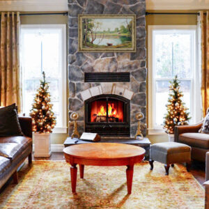 RSF Opel 2 Plus Wood Burning Fireplace | London & Strathroy Ontario