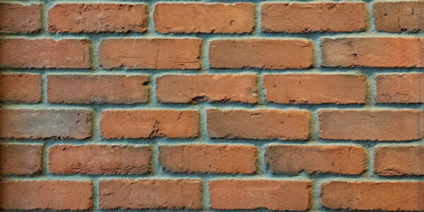 Antique wall brick veneer