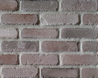 Canyon brick veneer 1 image on safe home fireplace website