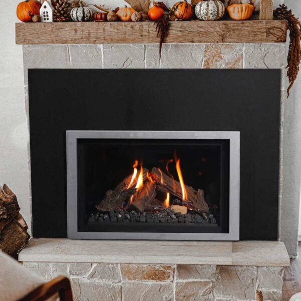 Wilderness insert 29 image on safe home fireplace website
