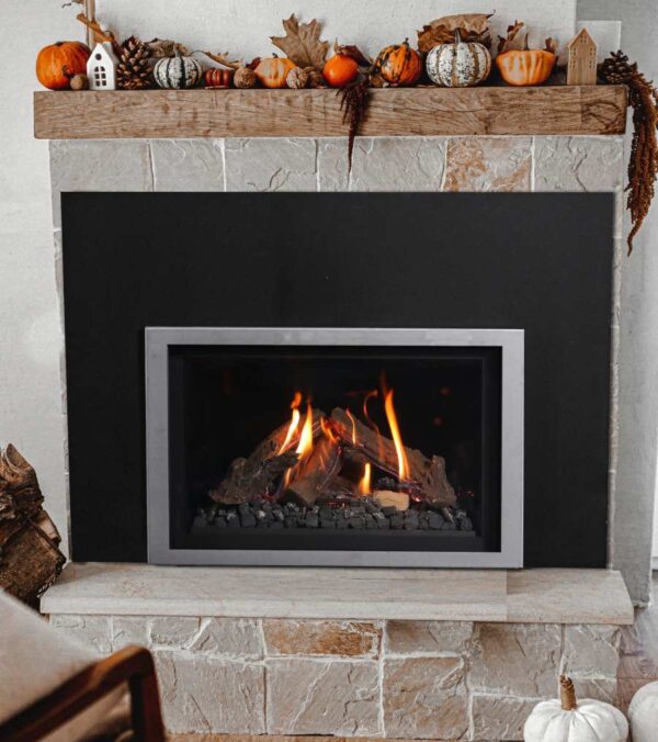 Wilderness insert 29 image on safe home fireplace website