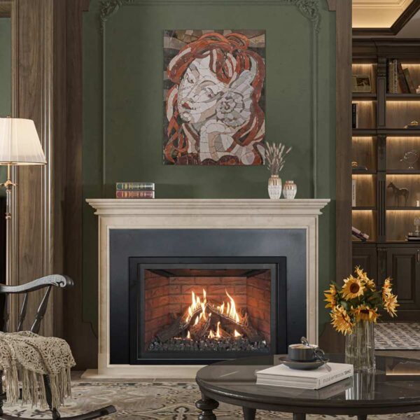 Wilderness insert 34 image on safe home fireplace website