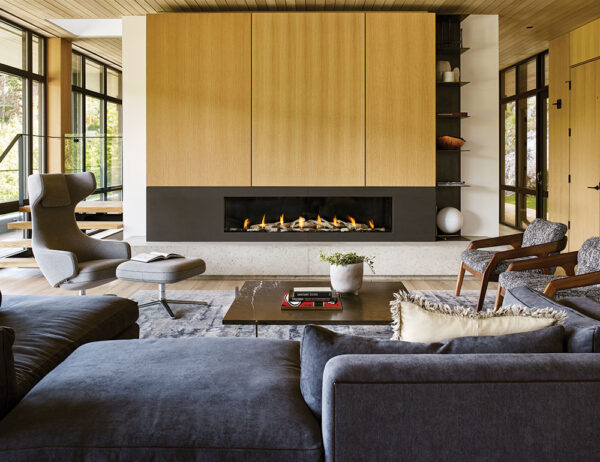 Regency® city series™ new york view 72 gas fireplace