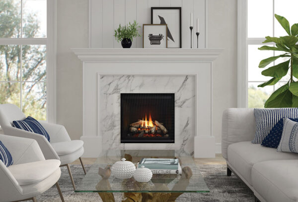 Regency® grandview™ g600ec gas fireplace
