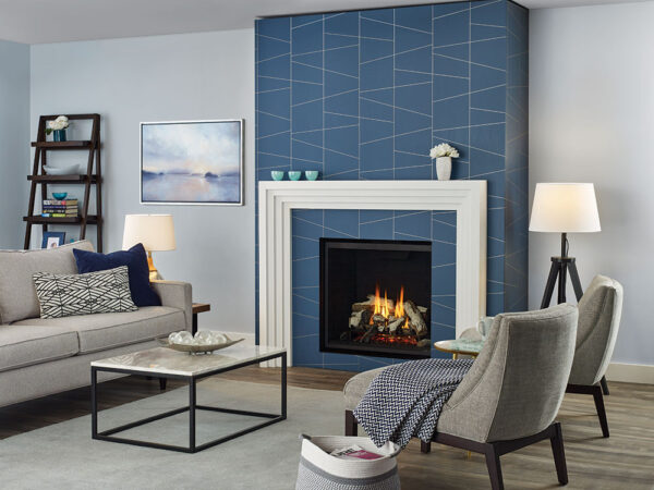 Regency® grandview™ g800ec gas fireplace