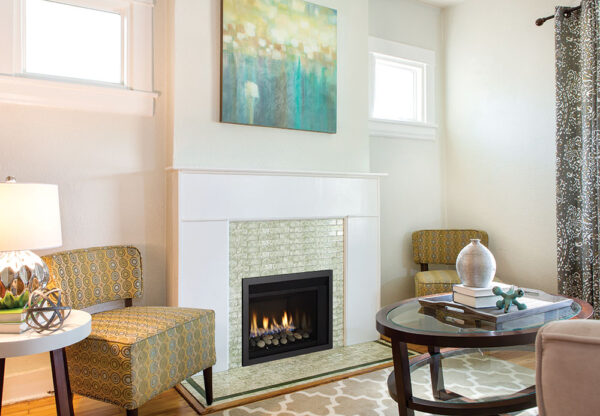 Regency® horizon® hri3e gas insert