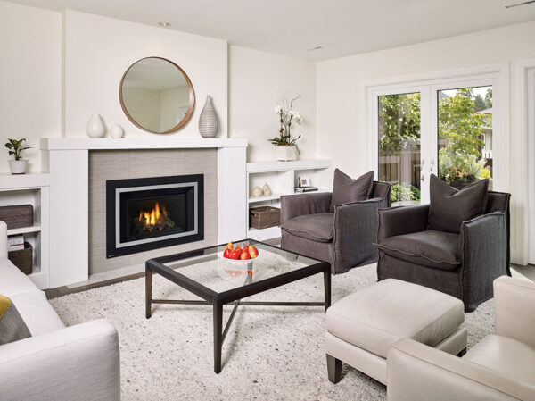 Regency® horizon® hri4e gas insert