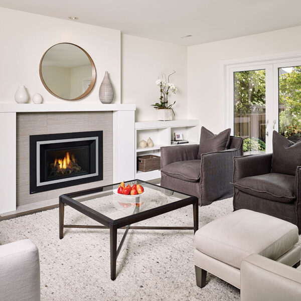 Regency® Horizon® HRI4E Gas Insert
