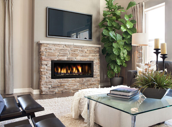 Regency® horizon® hz40e gas fireplace