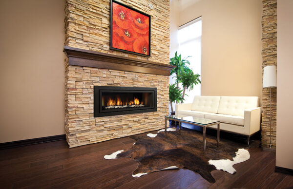 Regency® horizon® hz54e gas fireplace