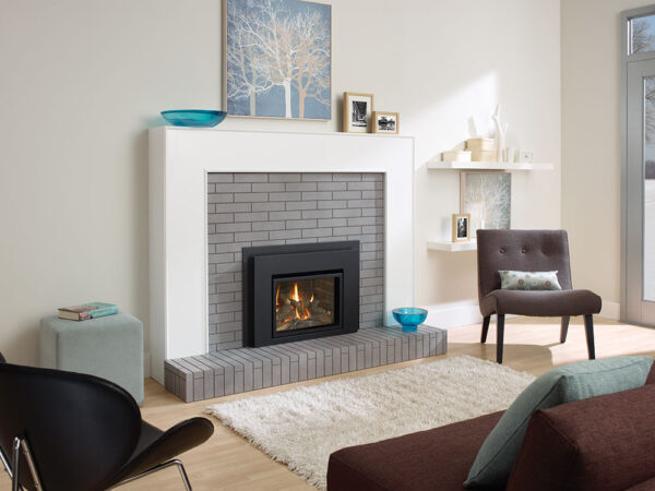 Regency® liberty® l234 gas insert