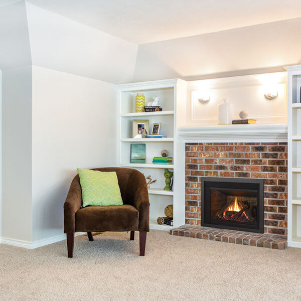 Regency® Liberty® LRI3E Gas Insert