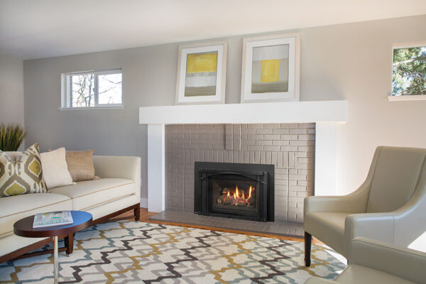 Regency® Liberty® LRI4E Gas Insert