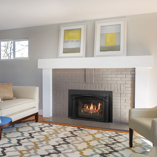 Regency® Liberty® LRI4E Gas Insert