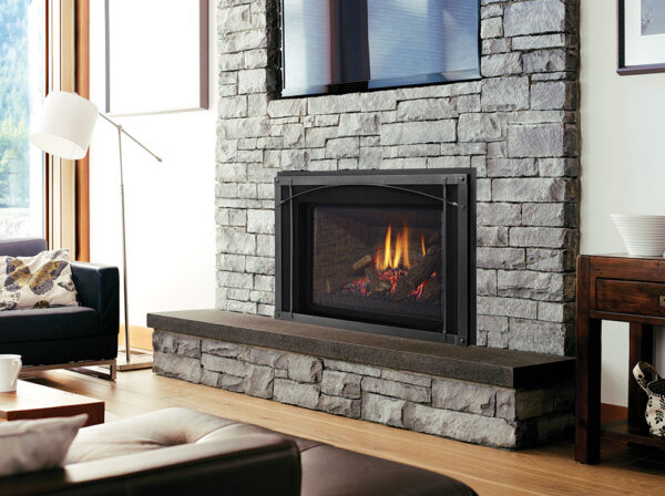 Regency® liberty® lri6e gas insert