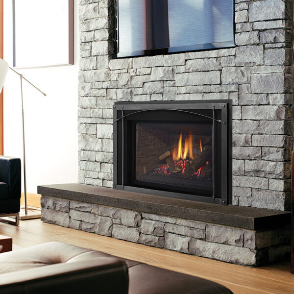 Regency® Liberty® LRI6E Gas Insert