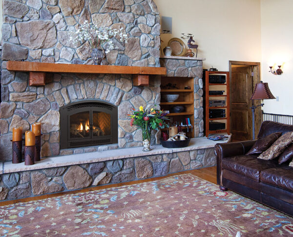 Regency® Excalibur® P90E Gas Fireplace