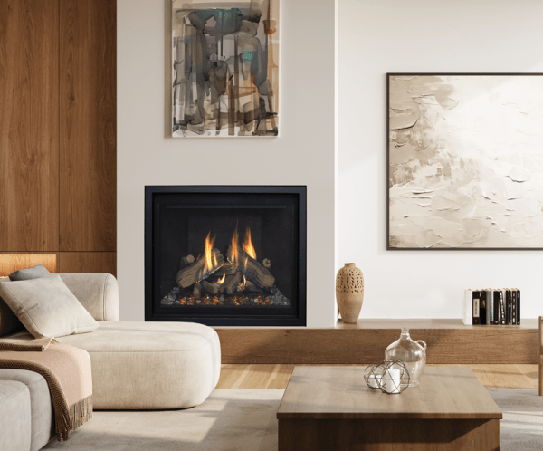 Enviro rz41 gas fireplace